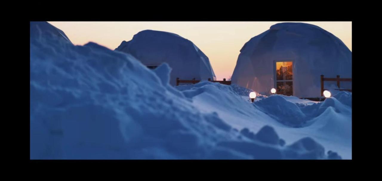 Glamping Pasieka Namiot Glamp Bukowina Tatrzanska - Domki W Gorach Groń エクステリア 写真