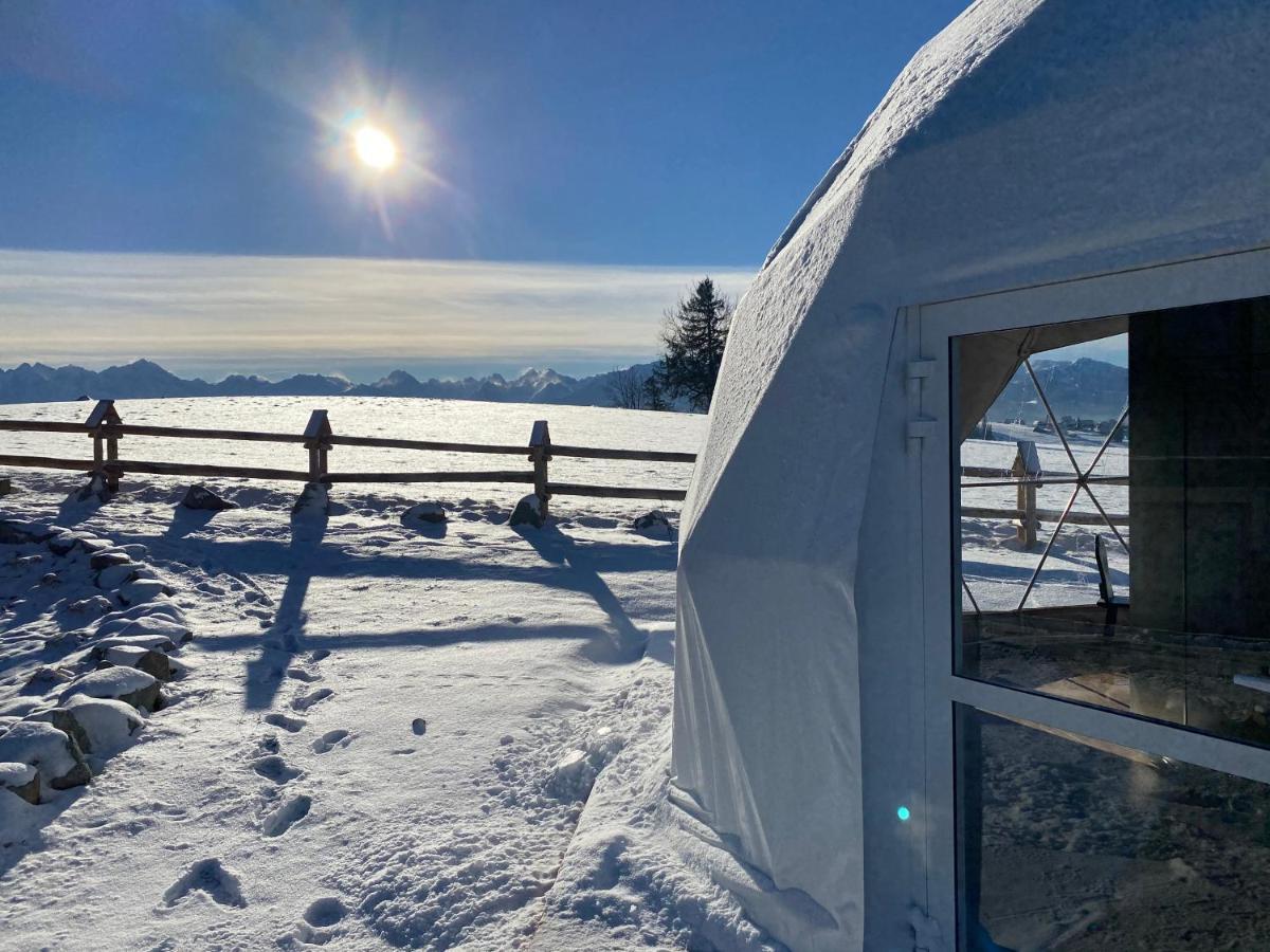 Glamping Pasieka Namiot Glamp Bukowina Tatrzanska - Domki W Gorach Groń エクステリア 写真