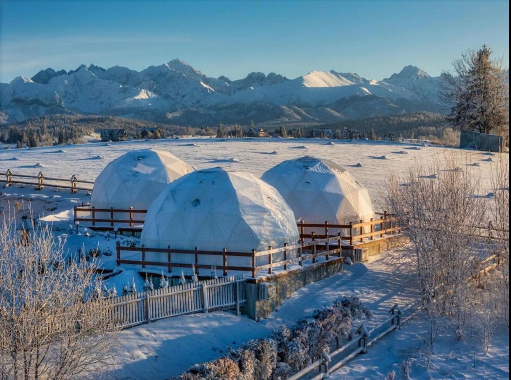 Glamping Pasieka Namiot Glamp Bukowina Tatrzanska - Domki W Gorach Groń エクステリア 写真